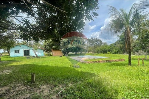 Venda-Chácara / Sítio / Fazenda-Zona Rural , Araguaína , Tocantins , 77826-170-722171057-1