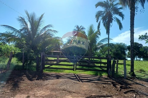 Venda-Chácara / Sítio / Fazenda-São José do Povo , São José do Povo , Mato Grosso , 78773000-722261017-2