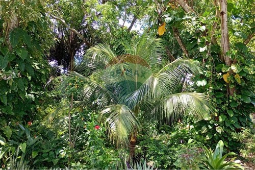 Slider Image Thumbnail