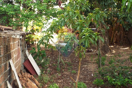 Slider Image Thumbnail