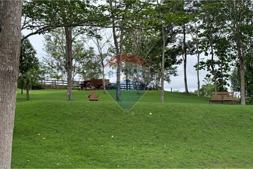 Venda-Chácara / Sítio / Fazenda-Linha Primavera , s/n  - Setor 8 , Jaru , Rondônia , 76890000-721551076-205