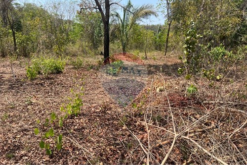 Venda-Chácara / Sítio / Fazenda-Rondonópolis , Rondonópolis , Mato Grosso , 78750899-720611061-19