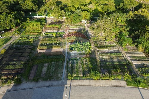 Slider Image Thumbnail