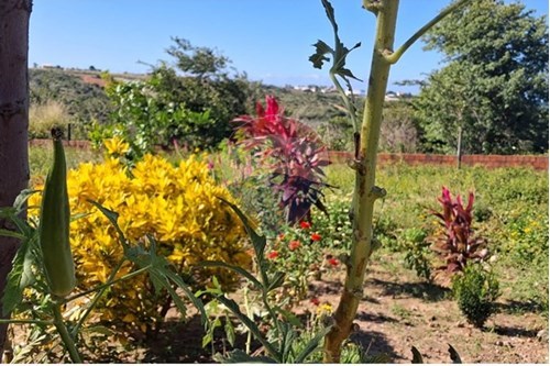 Slider Image Thumbnail