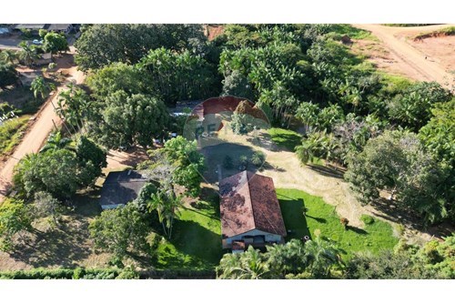 Venda-Chácara / Sítio / Fazenda-Centro , Nova Brasilândia D'Oeste , Rondônia , 76958000-722311004-22