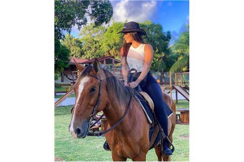 Outros - Venda - São José de Mipibu , Rio Grande do Norte - 13 - 720811013-62