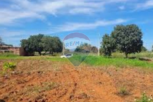 Venda-Terreno-Parque Sagrada Família , Rondonópolis , Mato Grosso , 78.735-278-720771032-67