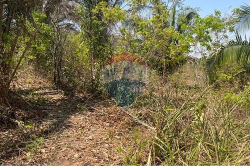 Venda-Chácara / Sítio / Fazenda-Rondonópolis , Rondonópolis , Mato Grosso , 78750899-720611061-15