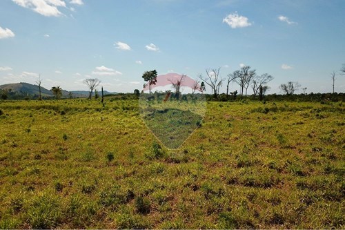 Venda-Terreno-Linha Verde , Parauapebas , Pará , 68515000-722021004-314