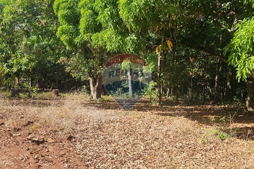 Venda-Chácara / Sítio / Fazenda-Zona Rural , Araguaína , Tocantins , 77826-170-722171039-19