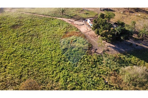 Venda-Chácara / Sítio / Fazenda-Centro , Rondonópolis , Mato Grosso , 78750000-720561081-77