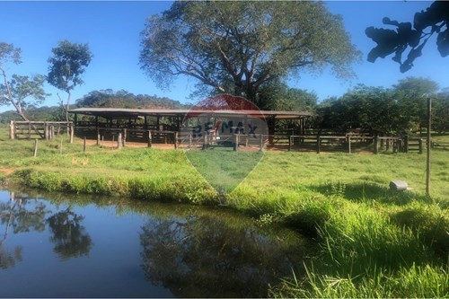 Venda-Fazenda-zona rural , 001  - Guiratinga , Guiratinga , Mato Grosso , 78760000-721981068-2