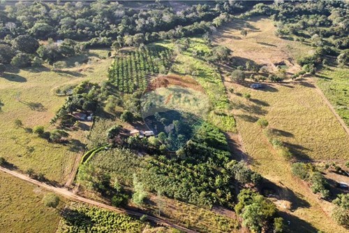 Venda-Fazenda-Guiratinga , Guiratinga , Mato Grosso , 78760000-721981068-4
