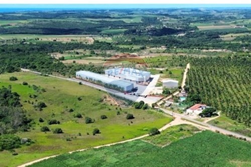 Alugar-Galpão-Centro , Conde , Paraíba , 58322000-720871050-19