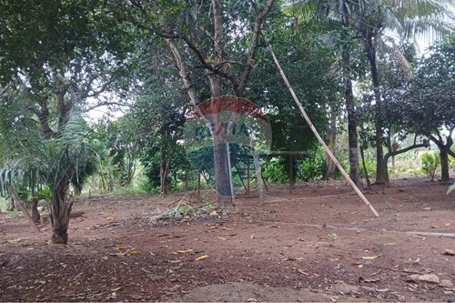 Venda-Chácara / Sítio / Fazenda-Avenida D Globo Recreio , 8-B  - Chácara Globo Recreio , Rondonópolis , Mato Grosso , 78721594-720611007-92