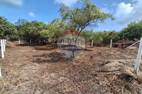 Venda-Terreno-Loteamento Cidade Balneário Novo Mundo , S/N  - Pousada Bem - te - vi  - Tabatinga I , Conde , Paraíba , 5832000-720871029-52