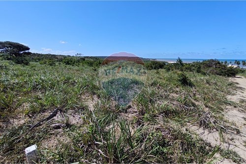 Venda-Terreno-Praia Bela , Pitimbu , Paraíba , 58324000-720871009-186