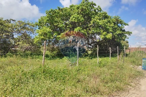 Venda-Terreno-Carapibus , Conde , Paraíba , 58322000-720871056-10