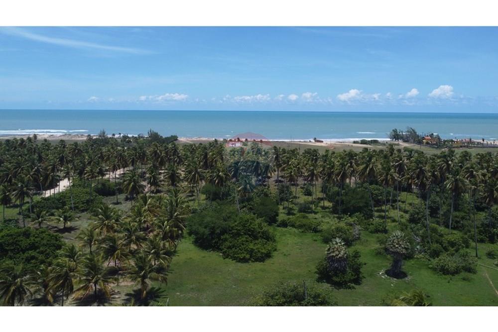 Terreno - Venda - São Miguel do Gostoso , Rio Grande do Norte - DJI_0058.JPG - 720891024-184