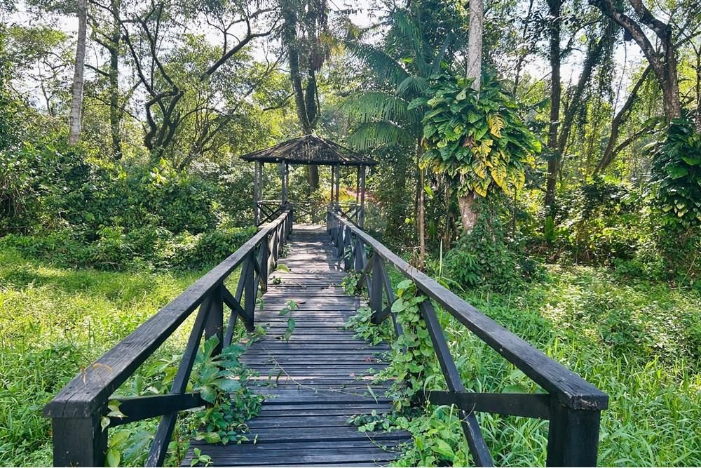 Casa de Condomínio - Alugar - Ananindeua , Pará - WhatsApp Image 2025-06-18 at 14.16.36.jpeg - 720921067-52