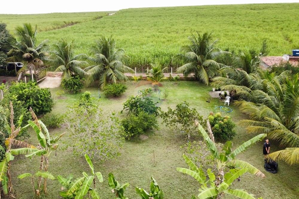 Chácara / Sítio / Fazenda - Venda - Alhandra , Paraíba - dji_fly_20250907_152352_894_1757269546332_photo_optimized.jpg - 722011055-48