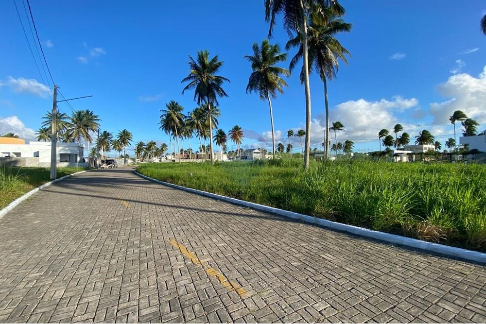 Terreno - Venda - Parnamirim , Rio Grande do Norte - db4e2d42-eb54-4f9f-bc3c-2e3fac3a1b29.jpg - 720891155-325