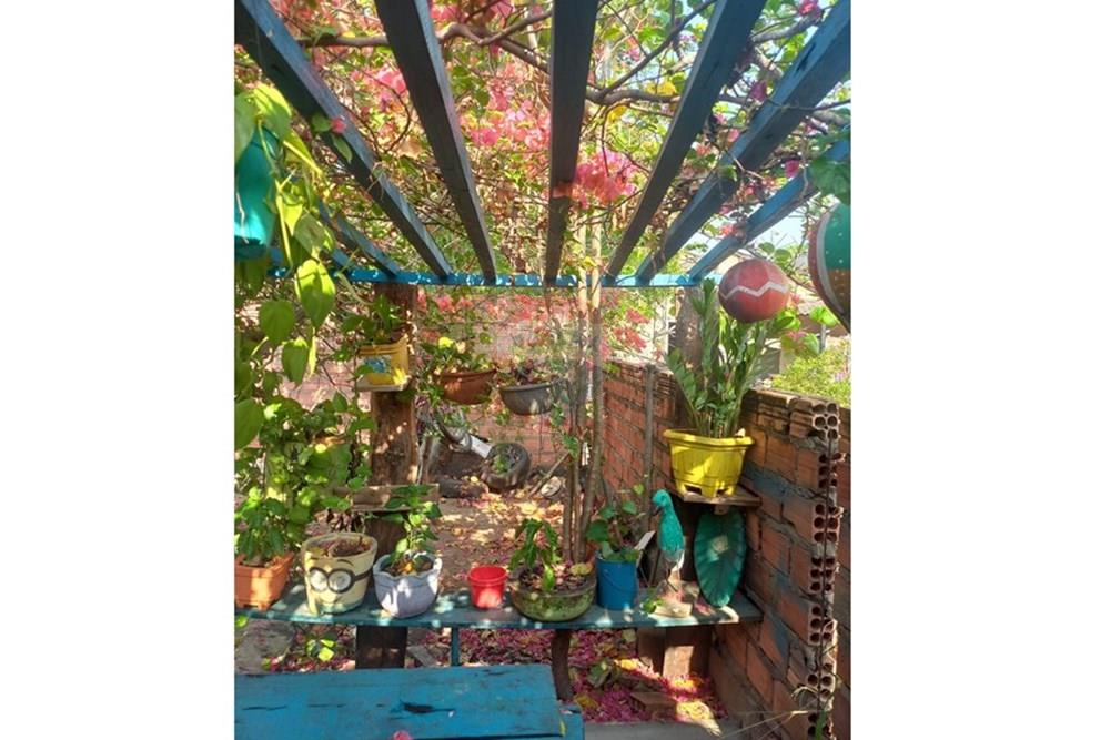 Casa - Venda - Barra do Garças , Mato Grosso - WhatsApp Image 2025-10-13 at 14.51.28.jpeg - 722221009-54