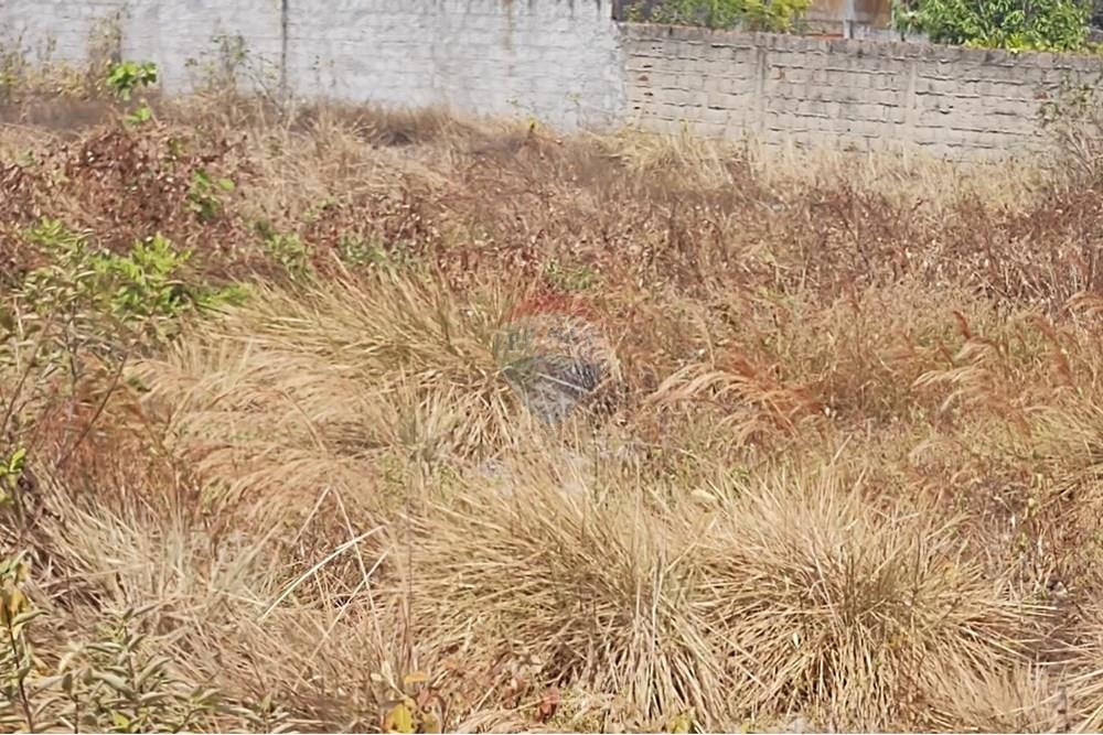 Terreno - Venda - Conde , Paraíba - WhatsApp Image 2024-12-05 at 21.40.54 (5).jpeg - 720871031-83