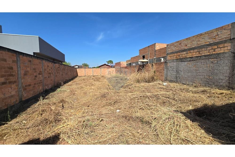 Terreno - Venda - Confresa , Mato Grosso - IMG-20250801-WA0012.jpg - 720641046-1