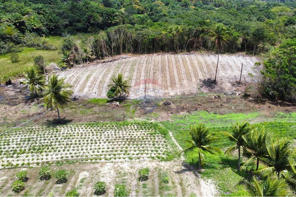 Chácara / Sítio / Fazenda - Venda - Conde , Paraíba - dji_fly_20240921_105458_225_1727098159626_photo_optimized.jpg - 722011055-34