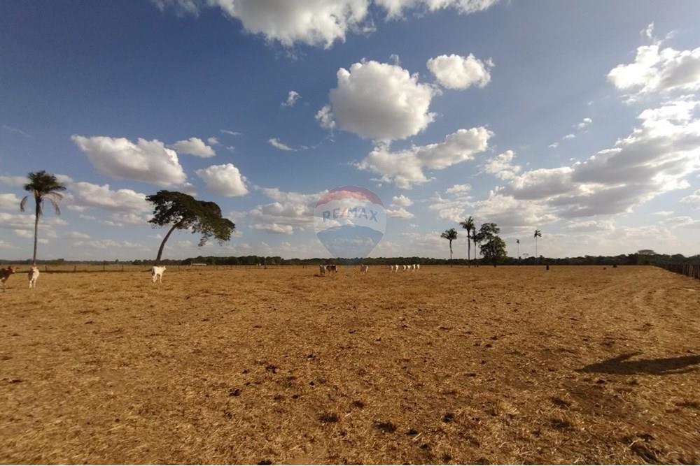 Chácara / Sítio / Fazenda - Venda - Sinop , Mato Grosso - WhatsApp Image 2025-08-07 at 14.46.29 (4).jpeg - 721561039-35