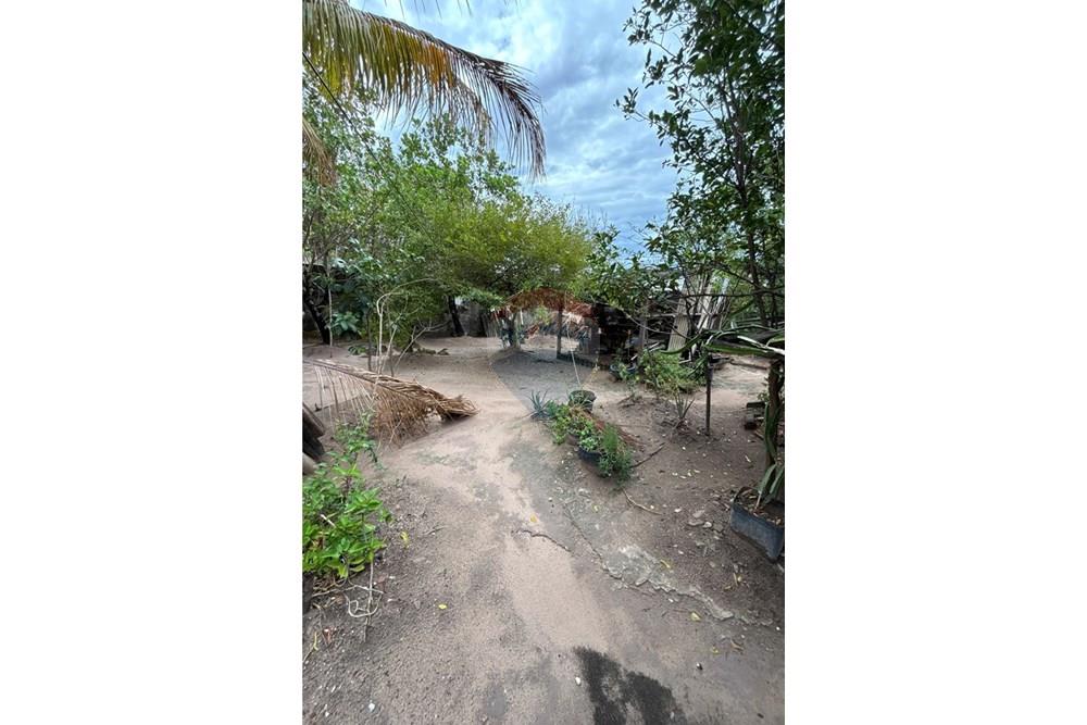 Casa - Venda - Barra do Garças , Mato Grosso - IMG_3171(1).JPG - 722221009-51