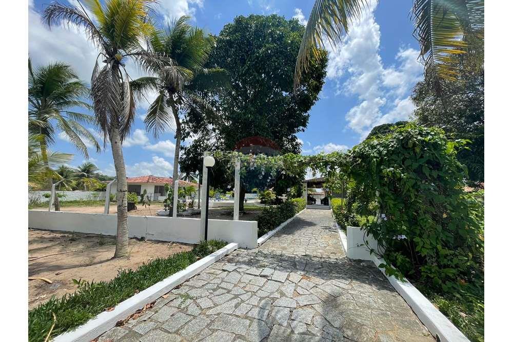 Chácara / Sítio / Fazenda - Venda - Conde , Paraíba - WhatsApp Image 2024-02-02 at 13.16.05.jpeg - 720871004-212