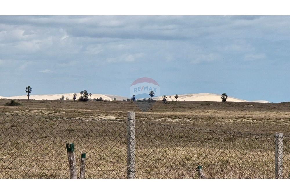 Terreno - Venda - Cruz , Ceará - 20250817_105651.jpg - 722341001-75