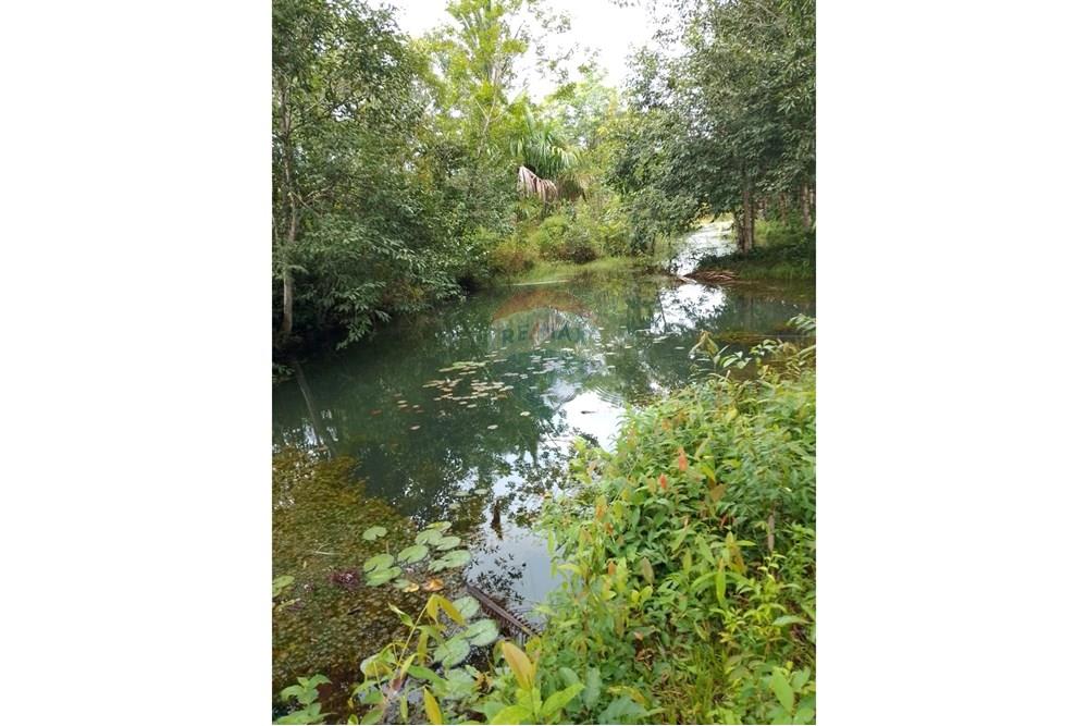 Chácara / Sítio / Fazenda - Venda - Canutama , Amazonas - WhatsApp Image 2025-02-28 at 17.27.53.jpeg - 721551016-61