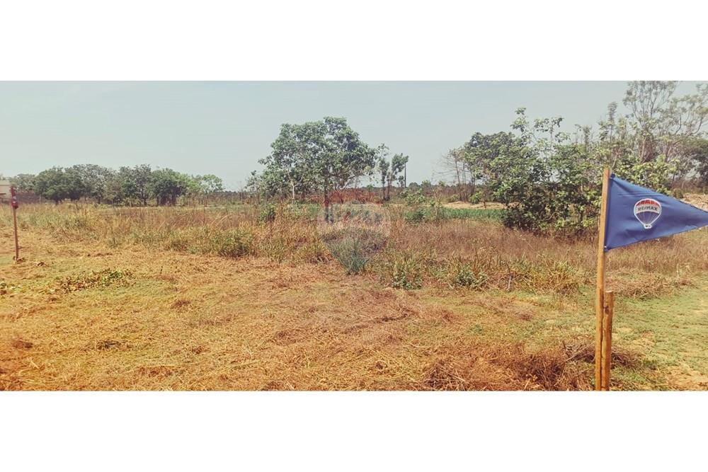 Terreno - Venda - Porto Alegre do Norte , Mato Grosso - 8f693bf1-0928-480f-9c25-75c991d94921.jpg - 720641031-25