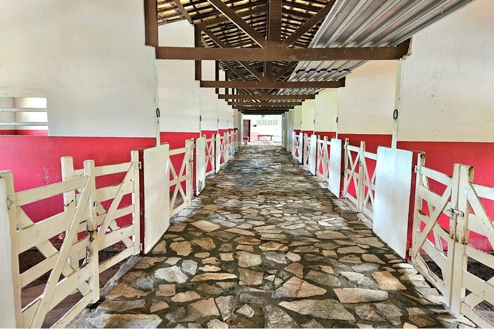 Casa de Condomínio - Venda - Macaíba , Rio Grande do Norte - 20250905_133220.jpg - 720891039-316