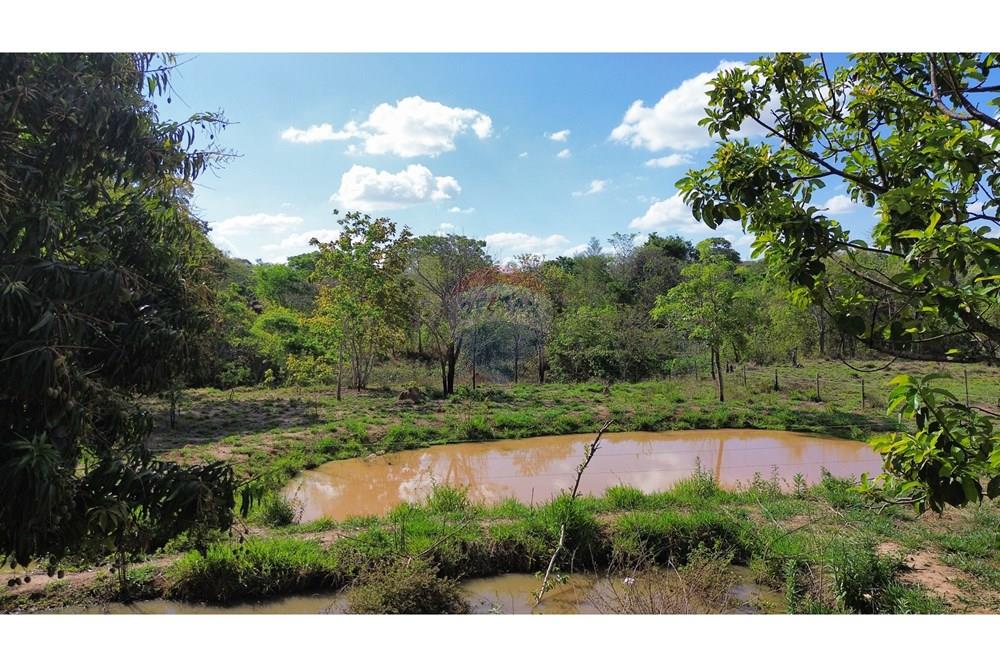 Chácara / Sítio / Fazenda - Venda - Caldas Novas , Goiás - IMG_6973.JPG - 722251025-1