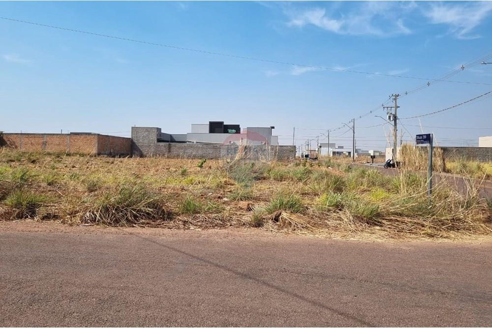 Terreno - Venda - Confresa , Mato Grosso - IMG-20250915-WA0045.jpg - 720641046-5