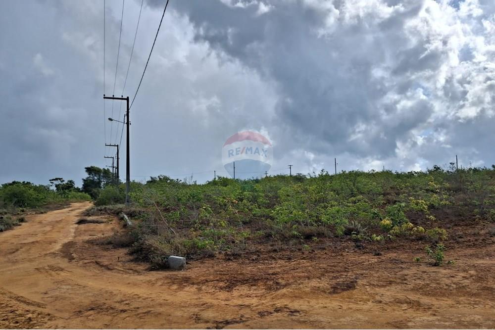 Terreno - Venda - Conde , Paraíba - dd56b055-daef-4e20-a43f-75ee32e5e116.jpeg - 720871044-31