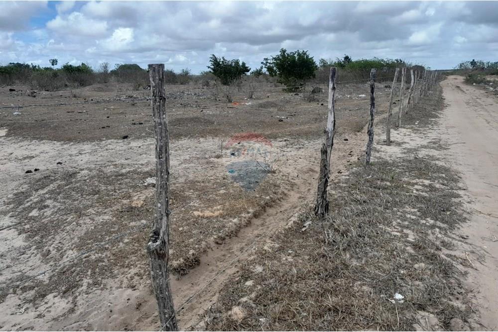 Terreno - Venda - Extremoz , Rio Grande do Norte - 202412192026071597.jpg - 720891155-252