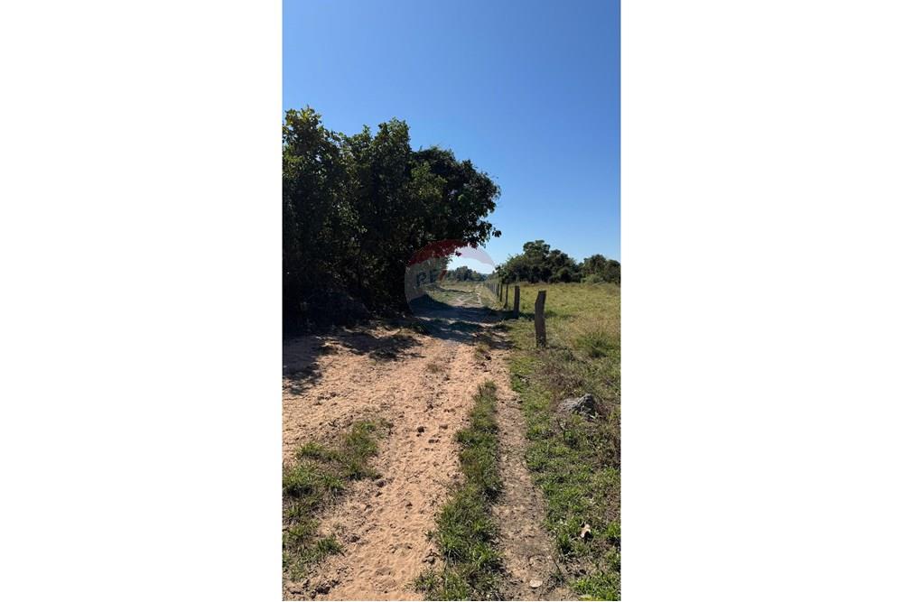 Fazenda - Venda - Santo Antônio do Leverger , Mato Grosso - b661f6ed-8adf-48f6-ae09-a27a1e9330e5.jpeg - 720611035-41