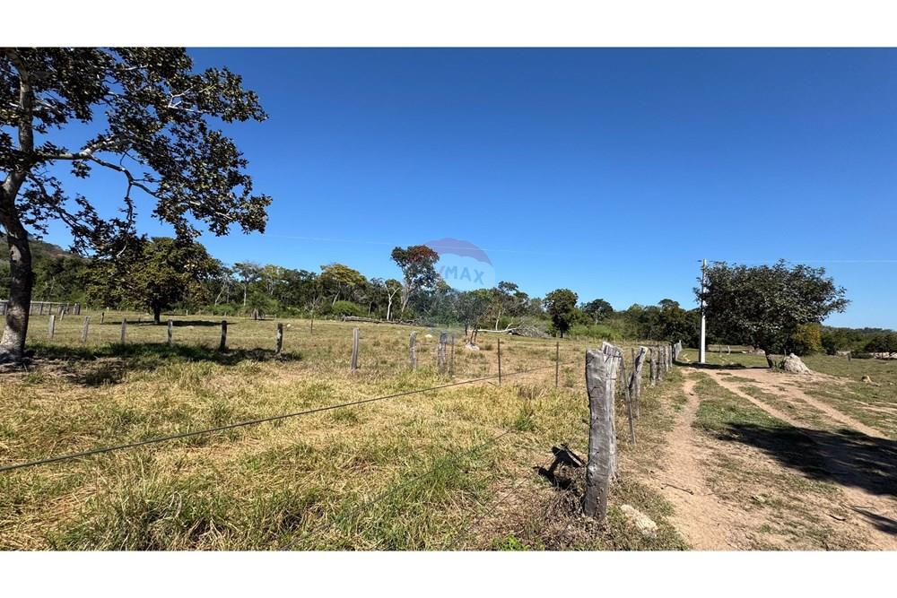 Fazenda - Venda - Santo Antônio do Leverger , Mato Grosso - c60260a2-5ab4-44dd-978d-7647166e21f0.jpeg - 720611035-41