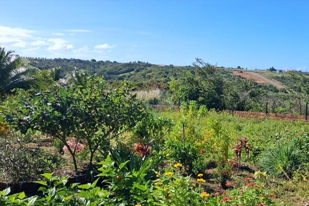 Casa - Venda - Pitimbu , Paraíba - d71a6eab-4a1d-4c48-b687-a6f83b08da77.jpeg - 720871044-84