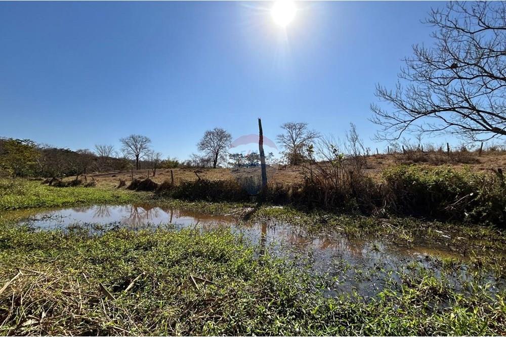 Fazenda - Venda - São José do Povo , Mato Grosso - WhatsApp Image 2025-08-20 at 09.44.09 (12).jpeg - 720561029-219