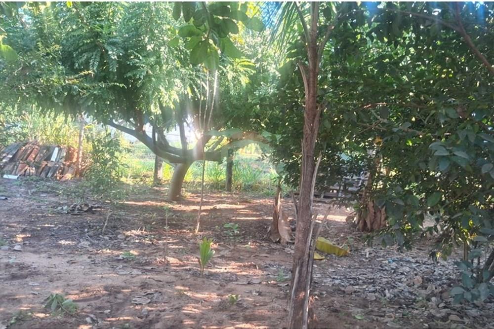 Chácara / Sítio / Fazenda - Venda - Rondonópolis , Mato Grosso - Imagem do WhatsApp de 2025-08-25 à(s) 16.49.24_9f79340a.jpg - 722261004-17