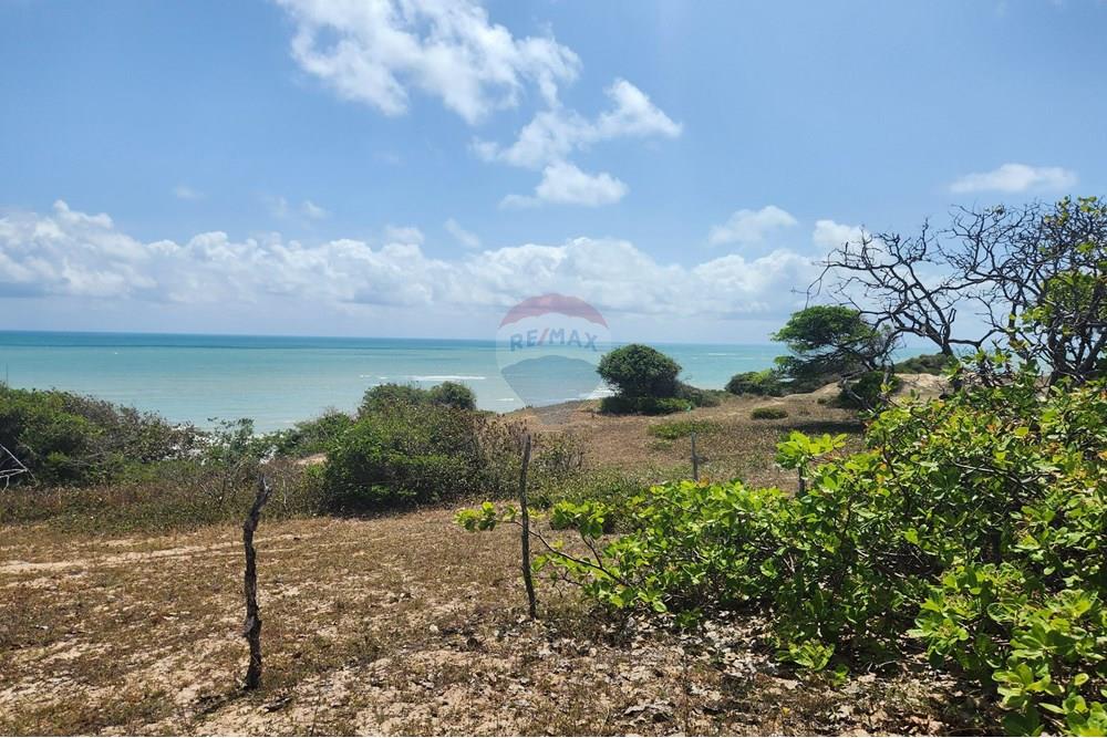 Terreno - Venda - Maxaranguape , Rio Grande do Norte - 20241016_093251.jpg - 720891155-334