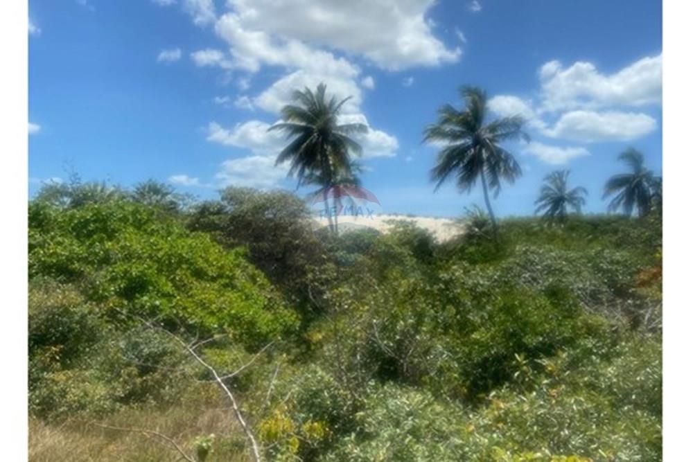 Terreno - Venda - Jijoca de Jericoacoara , Ceará - Imagem do WhatsApp de 2025-07-25 à(s) 09.36.46_728e5805.jpg - 722361005-5