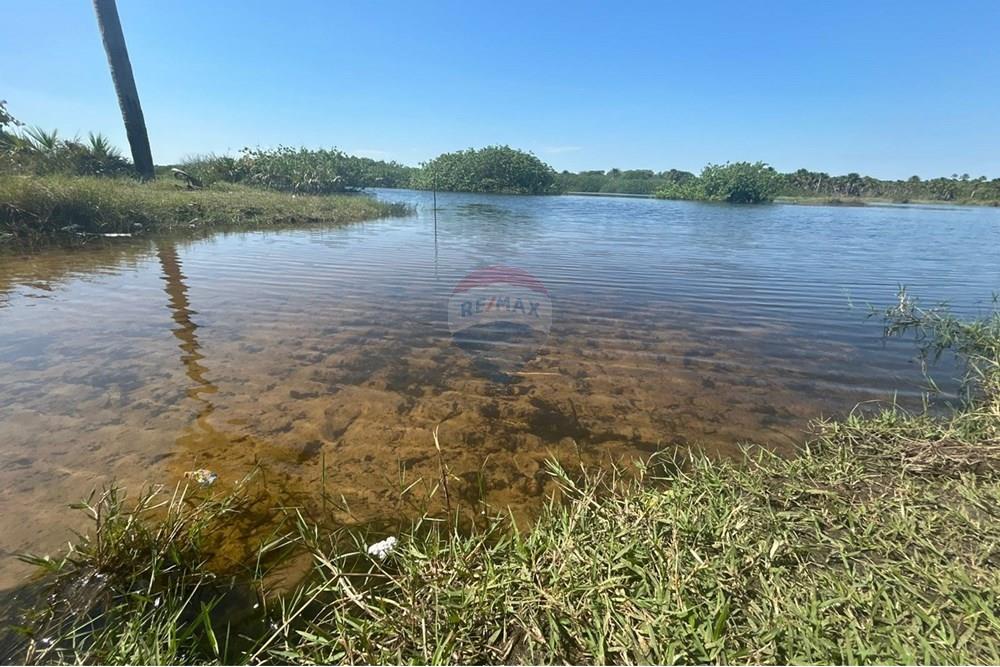 Chácara / Sítio / Fazenda - Venda - Araguaína , Tocantins - WhatsApp Image 2025-08-23 at 10.58.46 (2).jpeg - 720991046-7