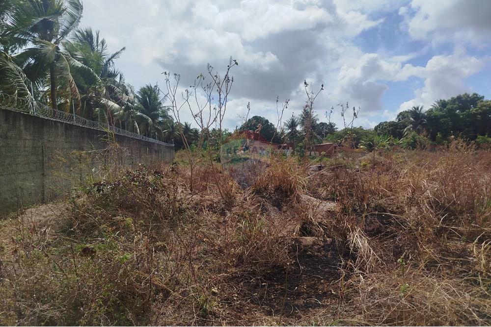 Terreno - Venda - Nísia Floresta , Rio Grande do Norte - WhatsApp Image 2024-11-22 at 21.32.40 (2).jpeg - 720891013-74